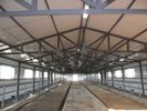 China Sistemas de quadro de aço pré-fabricados duráveis da vaca/cavalo com utilização alta flexível do espaço fábrica