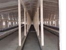 China Sistemas de quadro do aço material de aço das aves domésticas do painel de sanduíche para a galinha da criação de animais fábrica